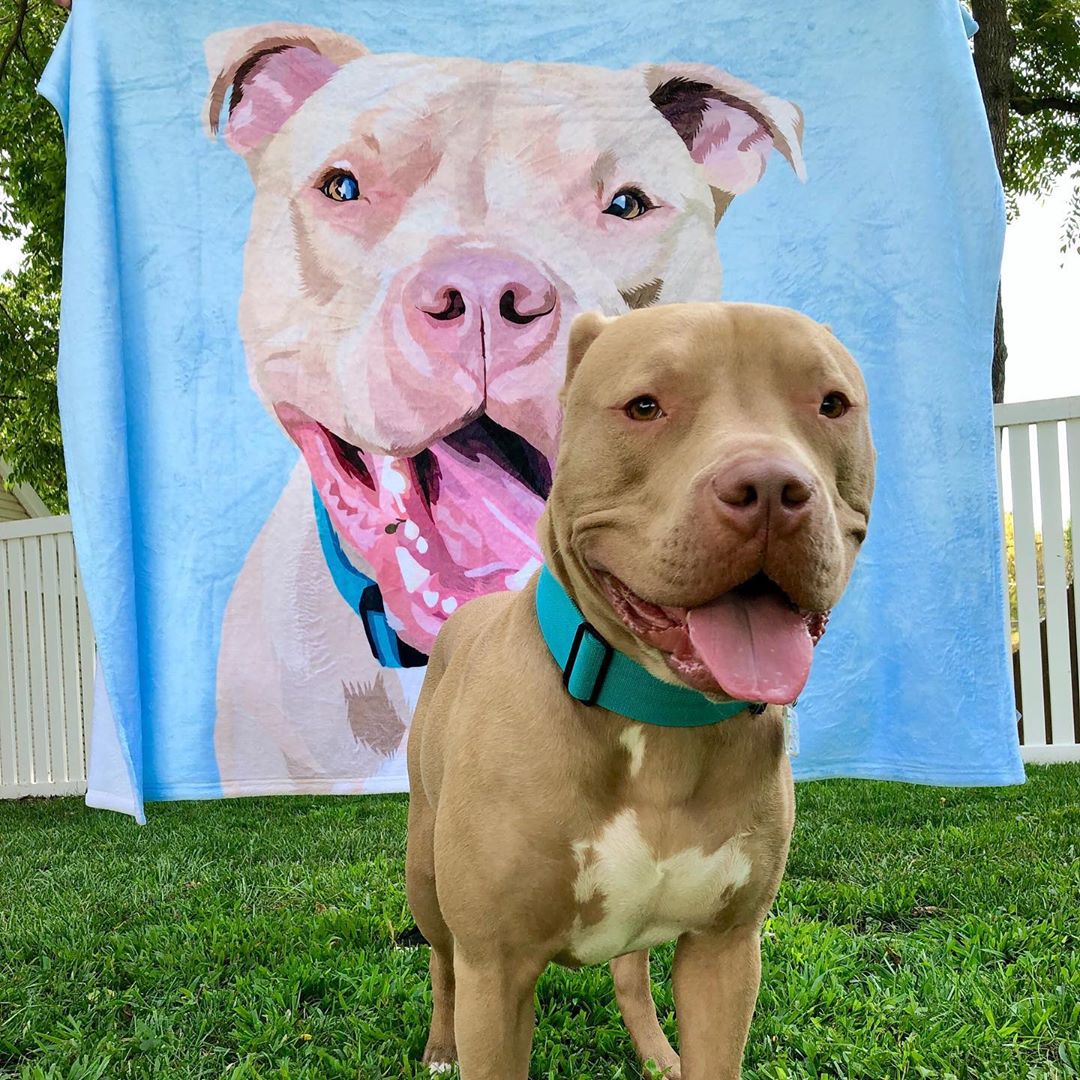 Custom Dog Blanket with Picture Pet Face Blanket Pet Face on Blanket