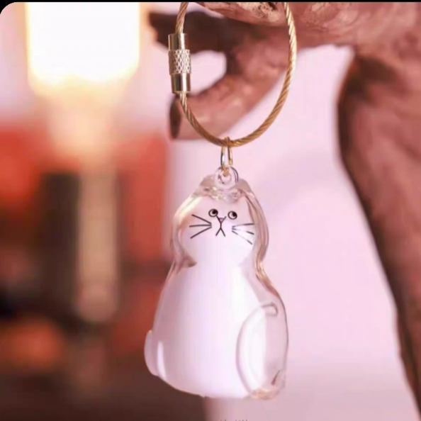 Transparent Cat Hair Keepsake Keychain Memorial Storage Box for Pet Fur Sentimental Gift for Cat Lovers