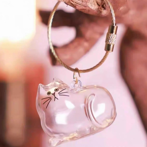 Transparent Cat Hair Keepsake Keychain Memorial Storage Box for Pet Fur Sentimental Gift for Cat Lovers