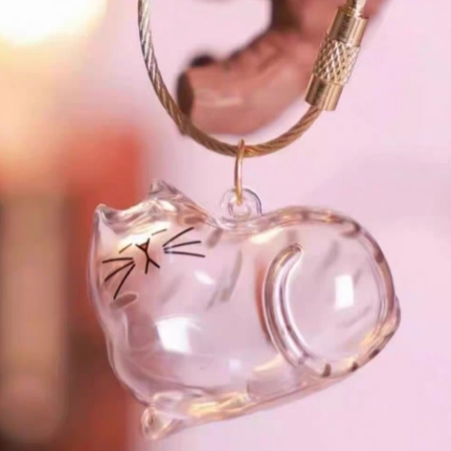 Transparent Cat Hair Keepsake Keychain Memorial Storage Box for Pet Fur Sentimental Gift for Cat Lovers
