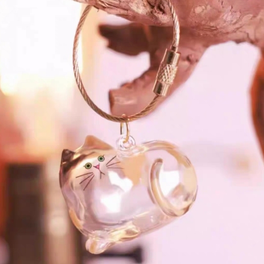 Transparent Cat Hair Keepsake Keychain Memorial Storage Box for Pet Fur Sentimental Gift for Cat Lovers