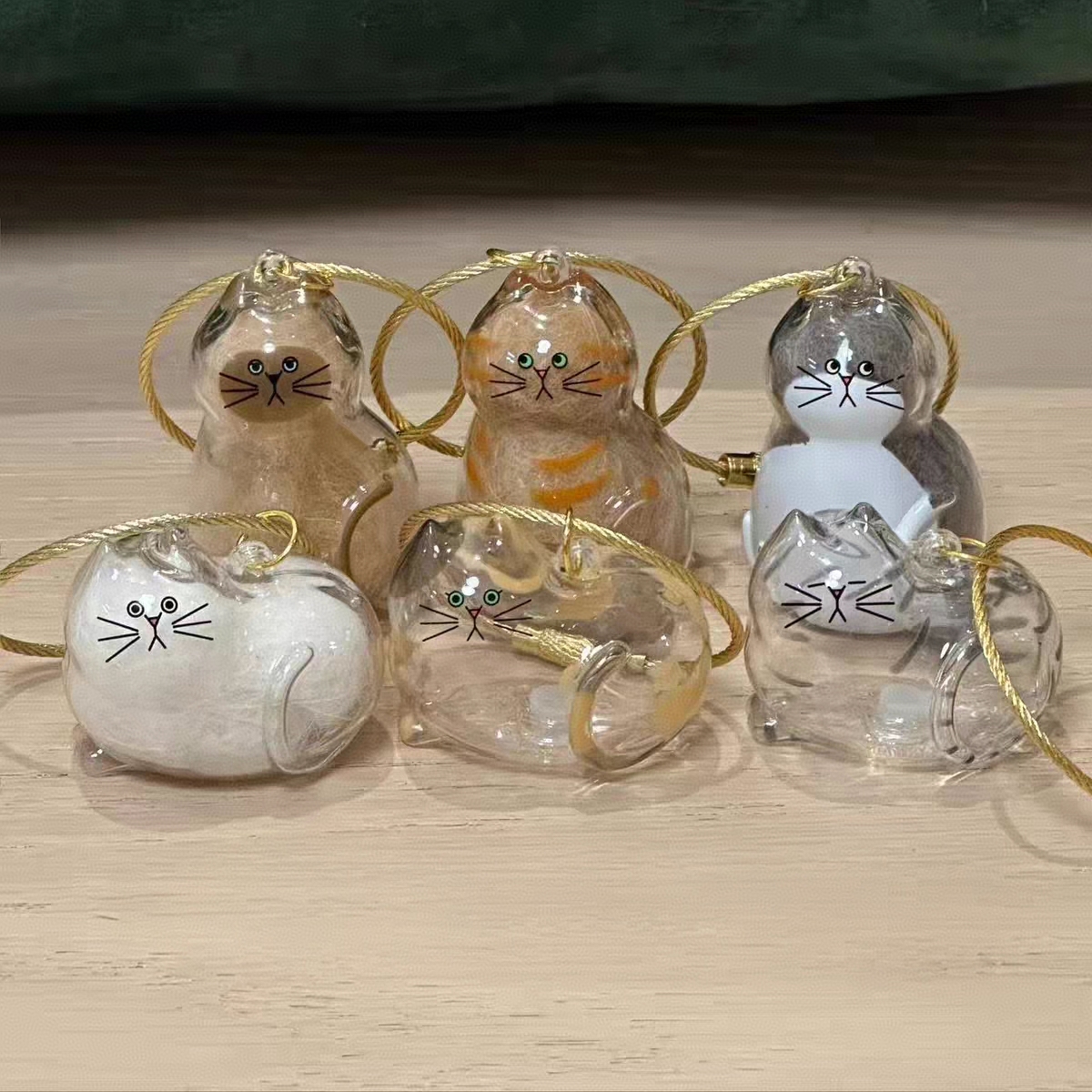 Transparent Cat Hair Keepsake Keychain Memorial Storage Box for Pet Fur Sentimental Gift for Cat Lovers