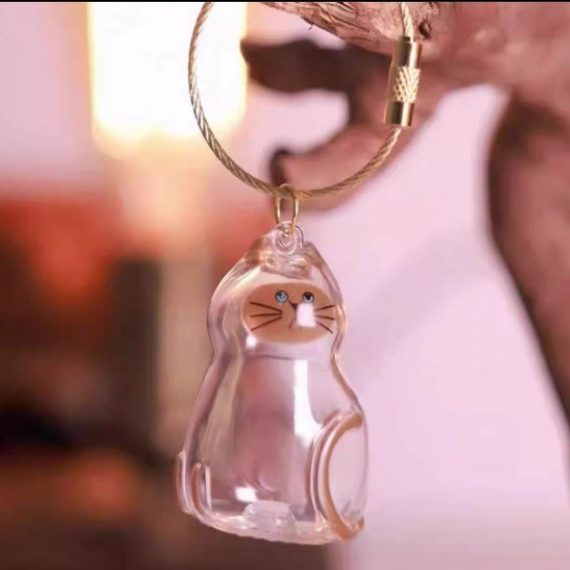 Transparent Cat Hair Keepsake Keychain Memorial Storage Box for Pet Fur Sentimental Gift for Cat Lovers