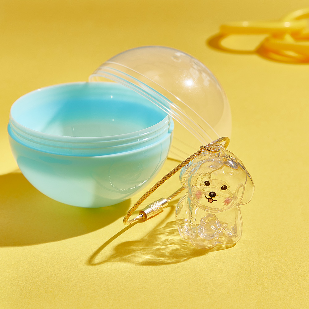 Dog Hair Souvenir Keychain Transparent Dog Hair Memory Capsule Jewelry Dog Hair Storage Suitable for Pet Lovers