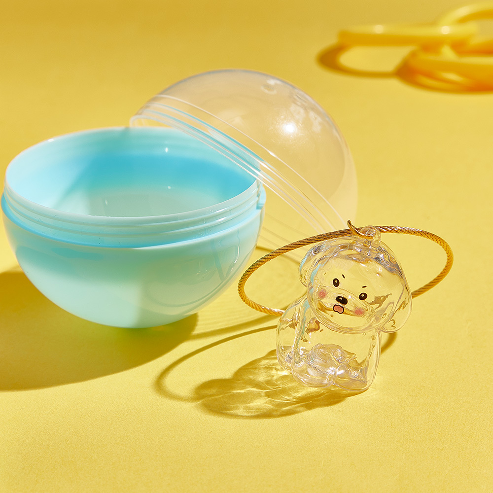 Dog Hair Souvenir Keychain Transparent Dog Hair Memory Capsule Jewelry Dog Hair Storage Suitable for Pet Lovers