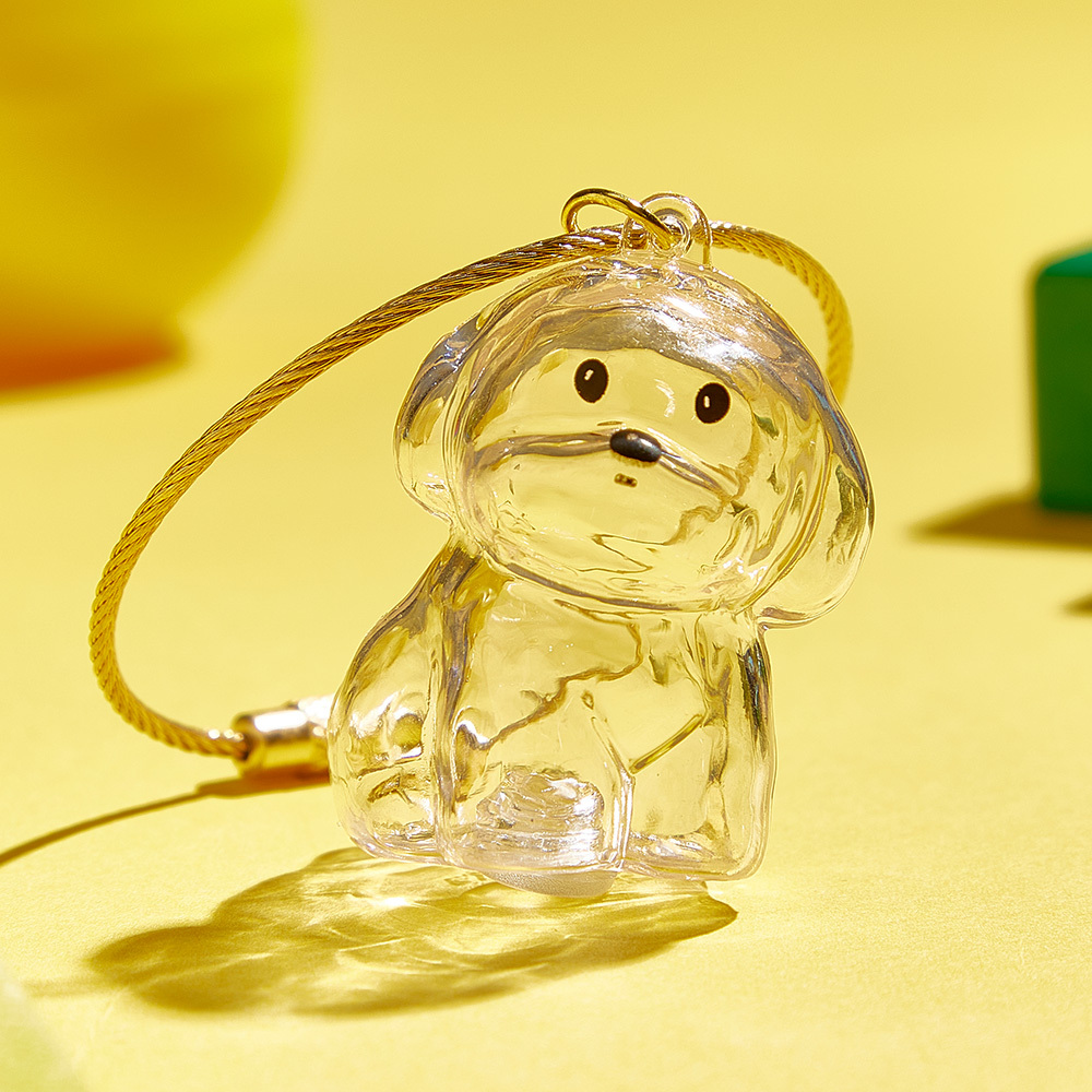 Dog Hair Souvenir Keychain Transparent Dog Hair Memory Capsule Jewelry Dog Hair Storage Suitable for Pet Lovers