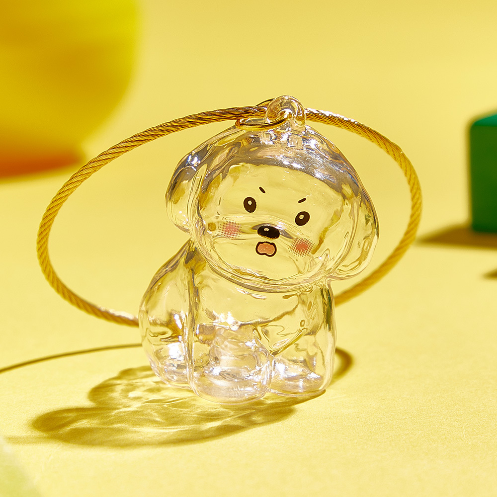 Dog Hair Souvenir Keychain Transparent Dog Hair Memory Capsule Jewelry Dog Hair Storage Suitable for Pet Lovers