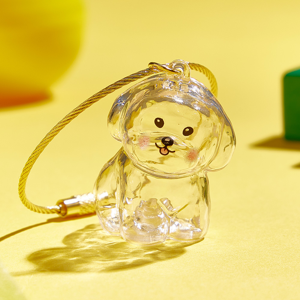 Dog Hair Souvenir Keychain Transparent Dog Hair Memory Capsule Jewelry Dog Hair Storage Suitable for Pet Lovers