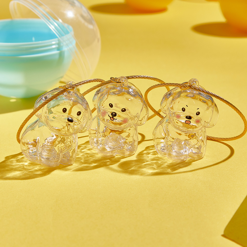Dog Hair Souvenir Keychain Transparent Dog Hair Memory Capsule Jewelry Dog Hair Storage Suitable for Pet Lovers