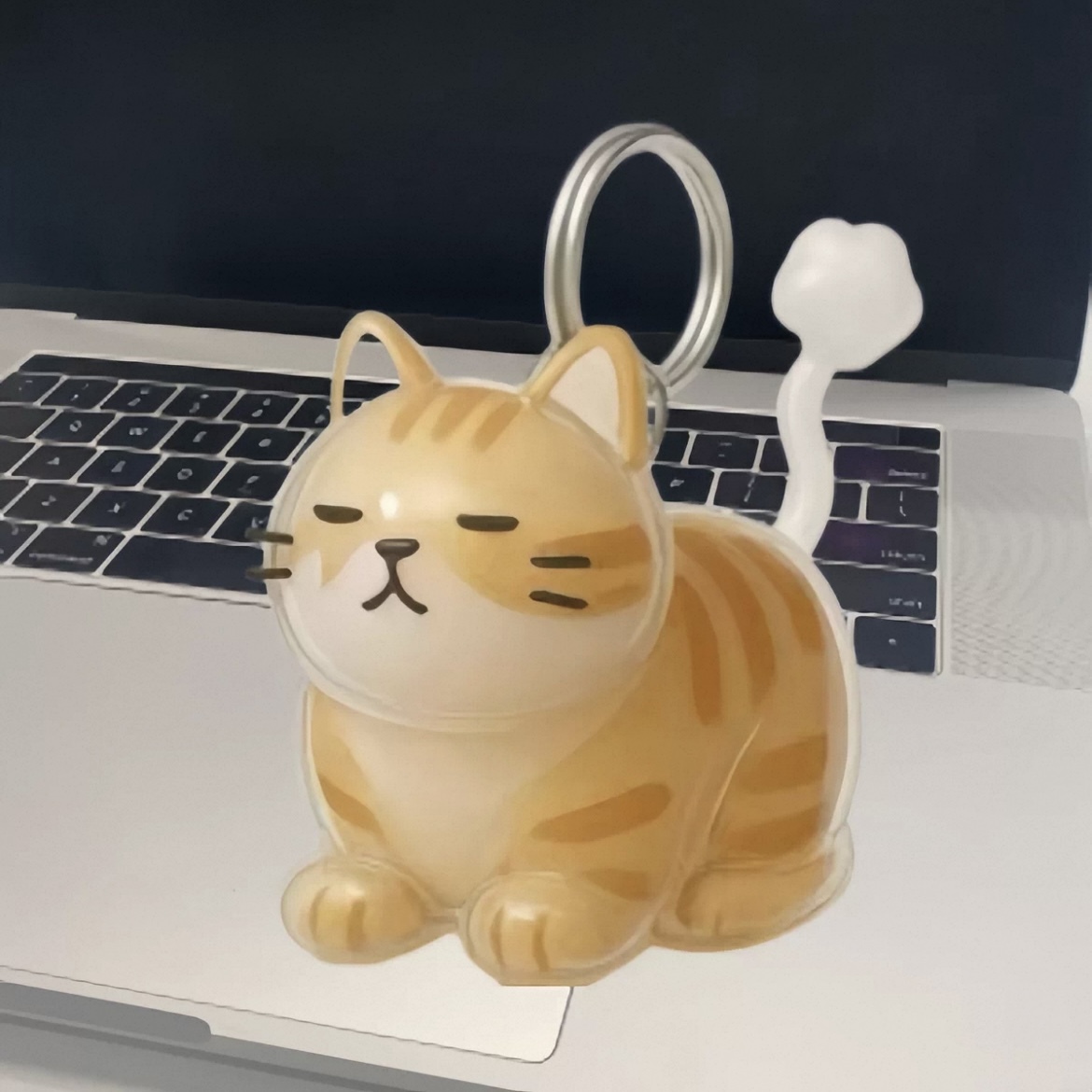 Cat Hair Storage Keychain Cute Kitten Pendant Commemorative Gift