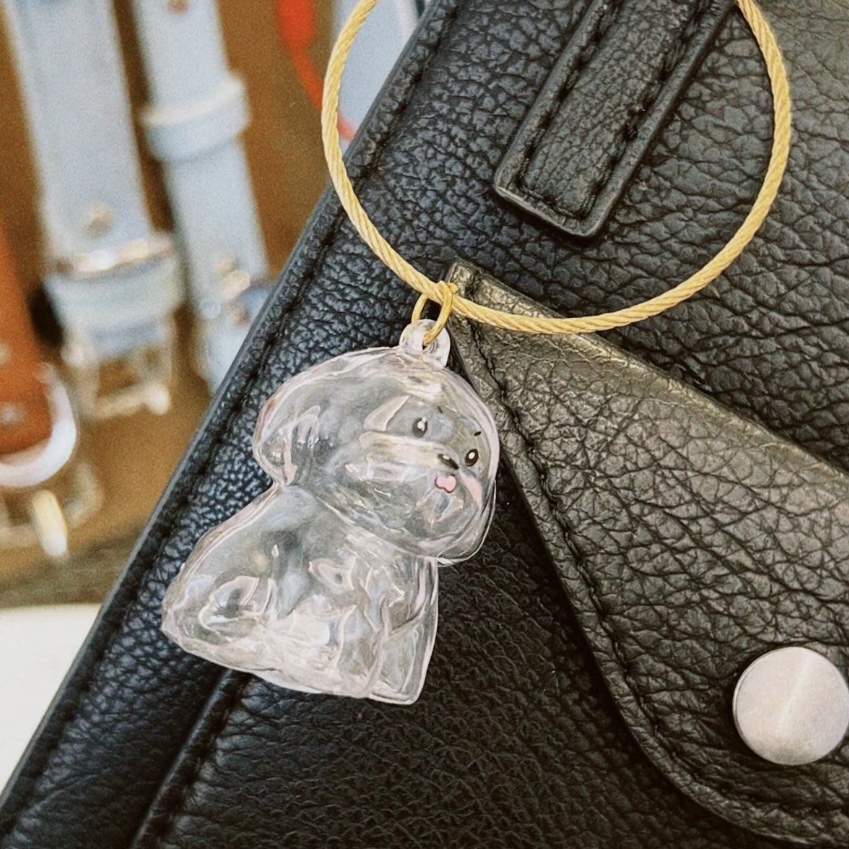 Dog Hair Souvenir Keychain Transparent Dog Hair Memory Capsule Jewelry Dog Hair Storage Suitable for Pet Lovers