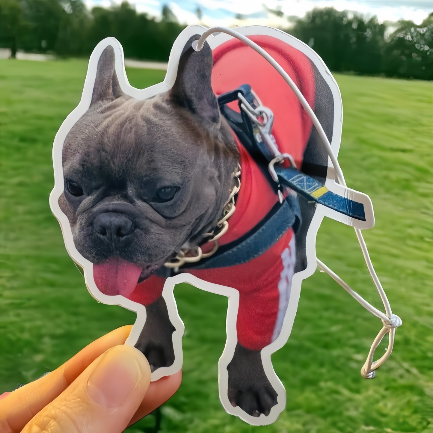Personalized Photo Car Air Freshener, Custom Air Freshener, Picture Air Freshener, Cute Car Accessories