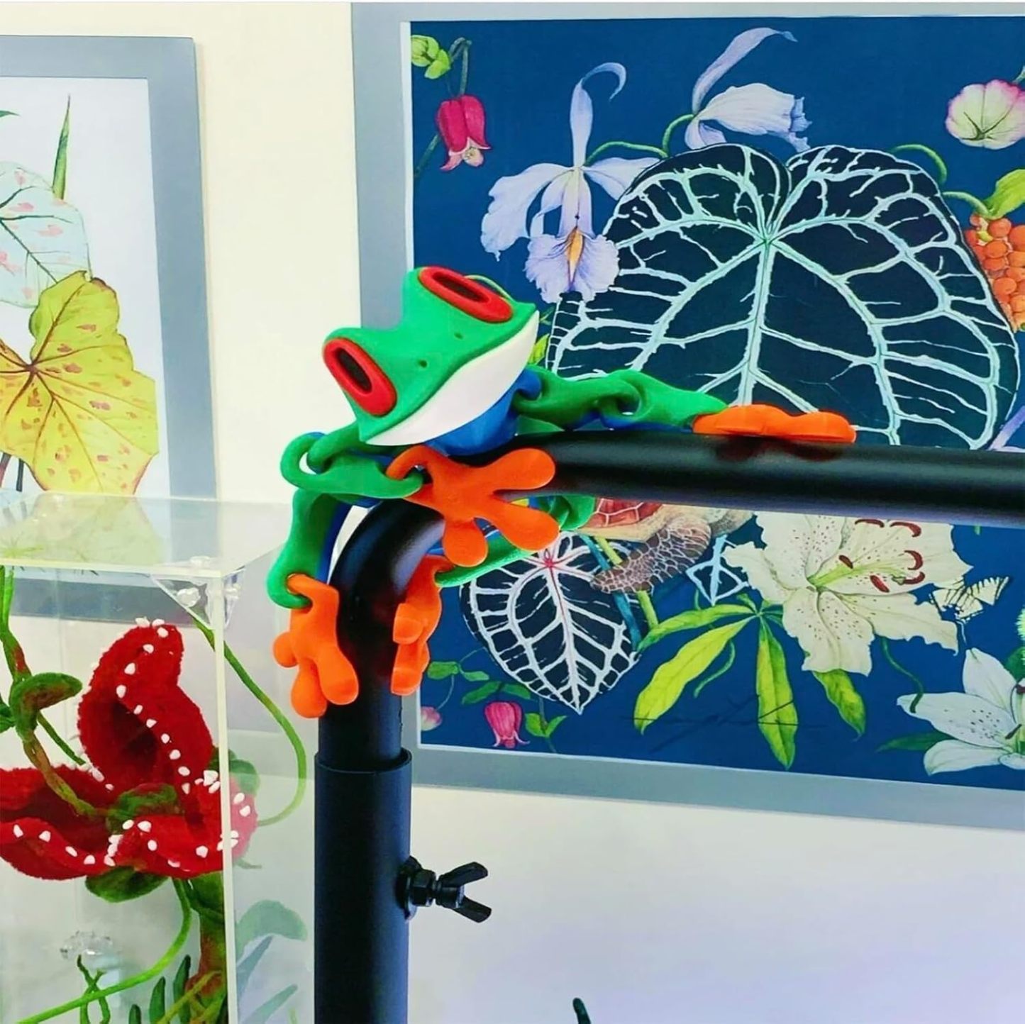 3D Printed Magnetic Frog Refrigerator Magnet Adorable Articulated Frog Decor for Home or Office - MyPhotoKeychainUK