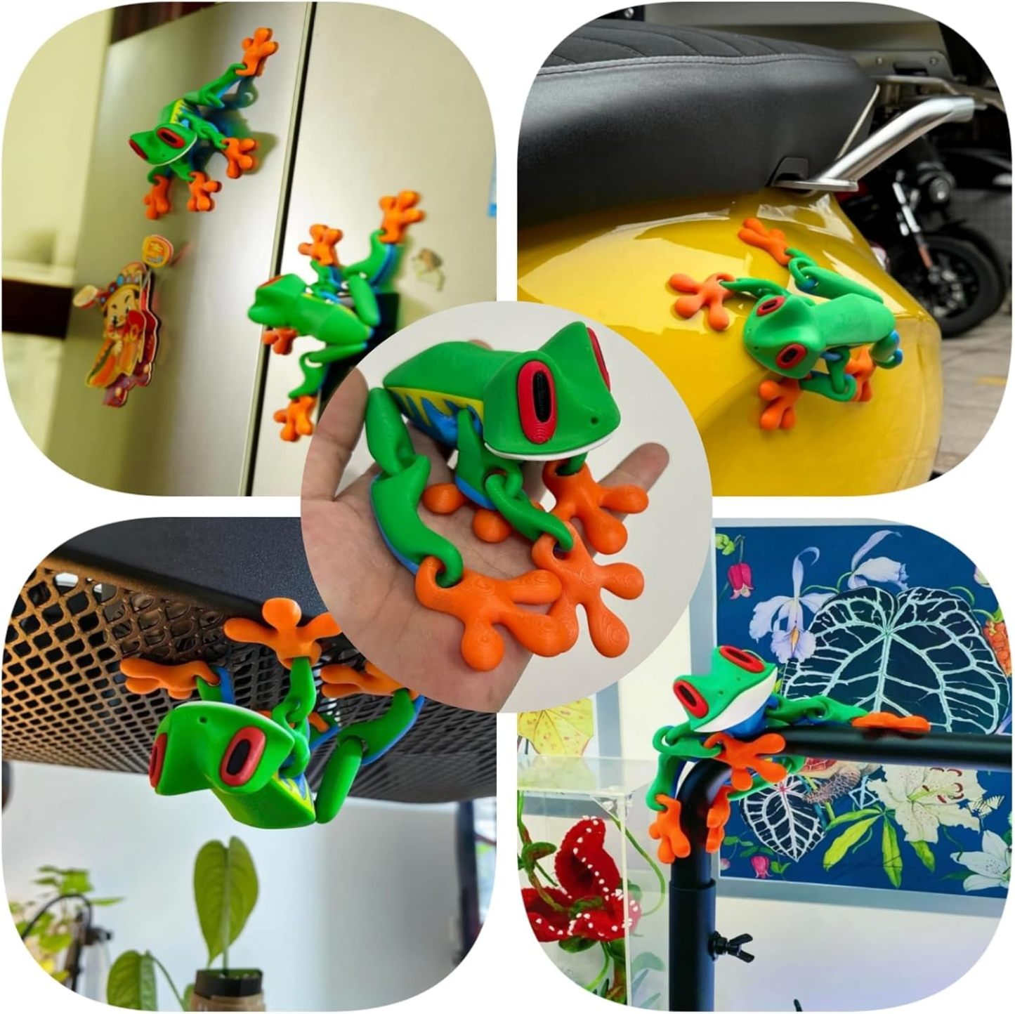 3D Printed Magnetic Frog Refrigerator Magnet Adorable Articulated Frog Decor for Home or Office - MyPhotoKeychainUK