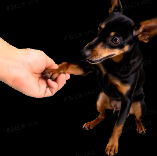 Handshake scene (in 60s video) - 