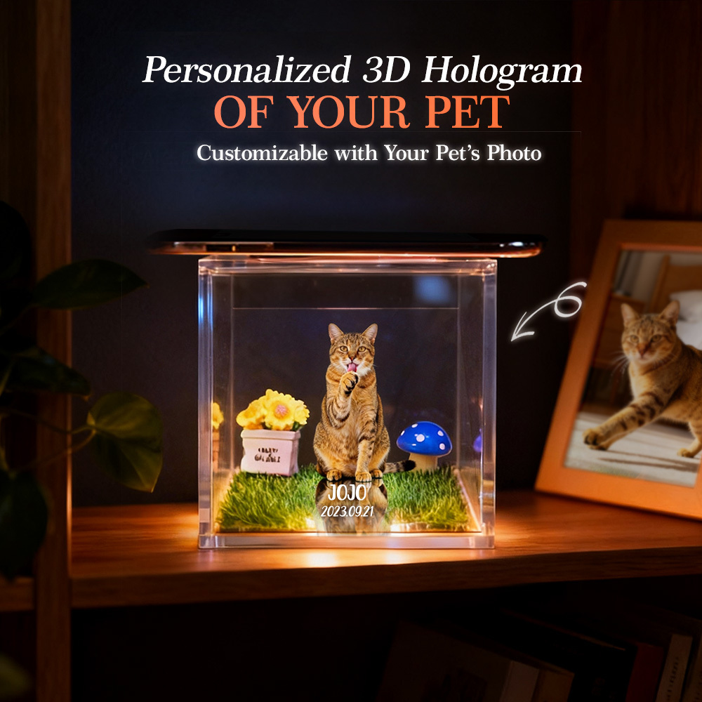 Pet Holographic Lumina Boxes For Cats | High-Transmittance Holographic Material Image DIY Pet Holographic House - 
