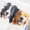 Custom Paint by Numbers Kit Personalized DIY Painting Set Turn Your Photo into Personalized Artwork