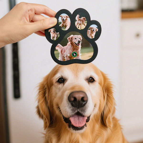 Custom Music Fridge Magnet Personalized Paw Print Song Magnets That Can Play Music Anniversary Gifts Memorial Gifts for Pet Lovers