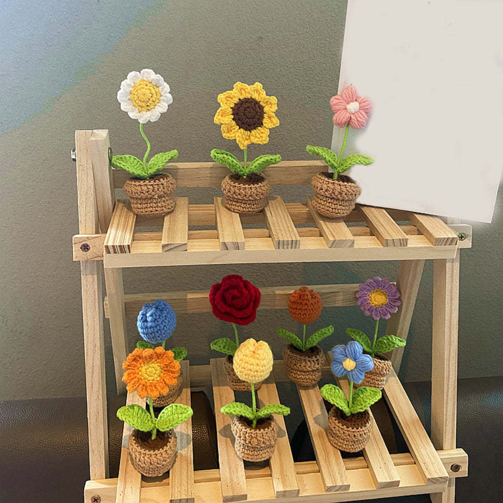 Handmade Crochet Flowers Completed Hand Woven Knitted Potted Plants Gift for Handicraft Lover - photowatch