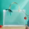 Clear Vertical Gift Bag with Handles Reusable White Frosted Plastic Bag