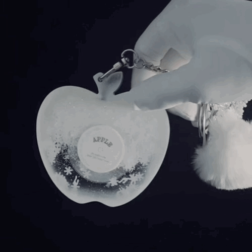 Winter Apple Snowflake Liquid Keychain for Couples | NFC Music Record Keyring | Romantic Love Gift