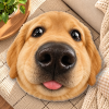 Custom Photo Funny Fisheye Pet Lover Gifts, Personalized Pet Face Pillow