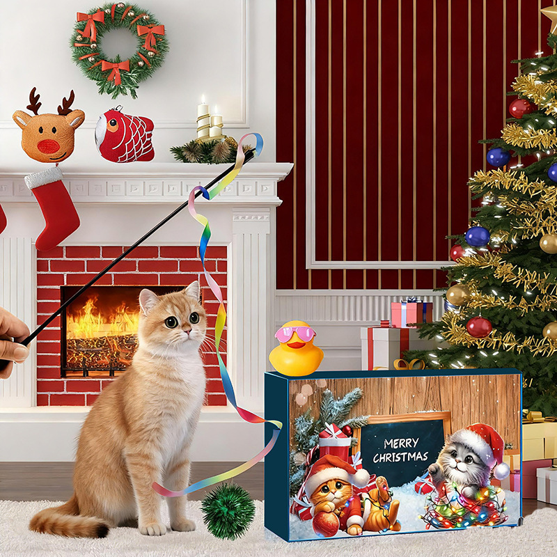 Countdown to Christmas Cat Advent Calendar - Surprise Toys & Treats - 