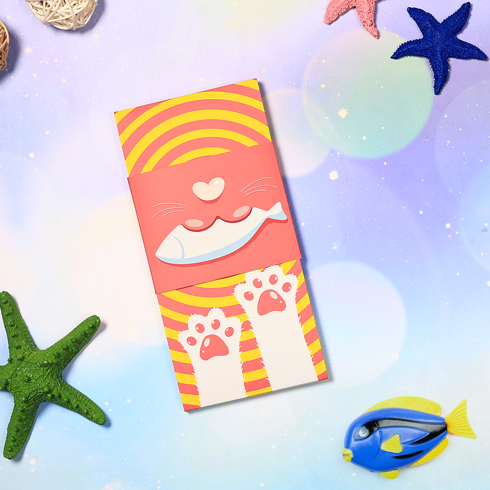 Cat Packaging	 - MyFaceBoxerUK