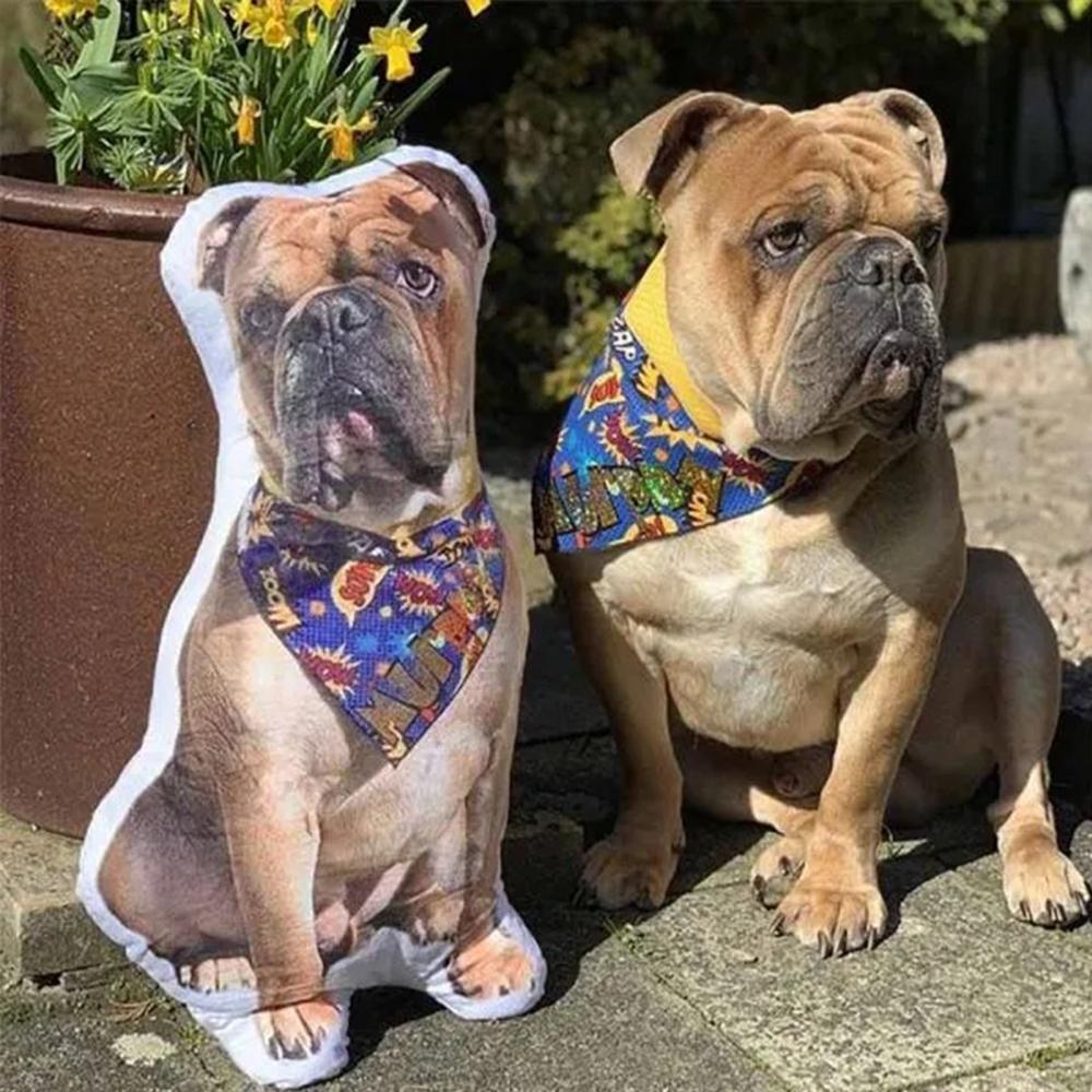 Custom Pet Photo Face Pillow 3D Portrait Pillow-Shar Pei	 - MyFaceBoxerUK