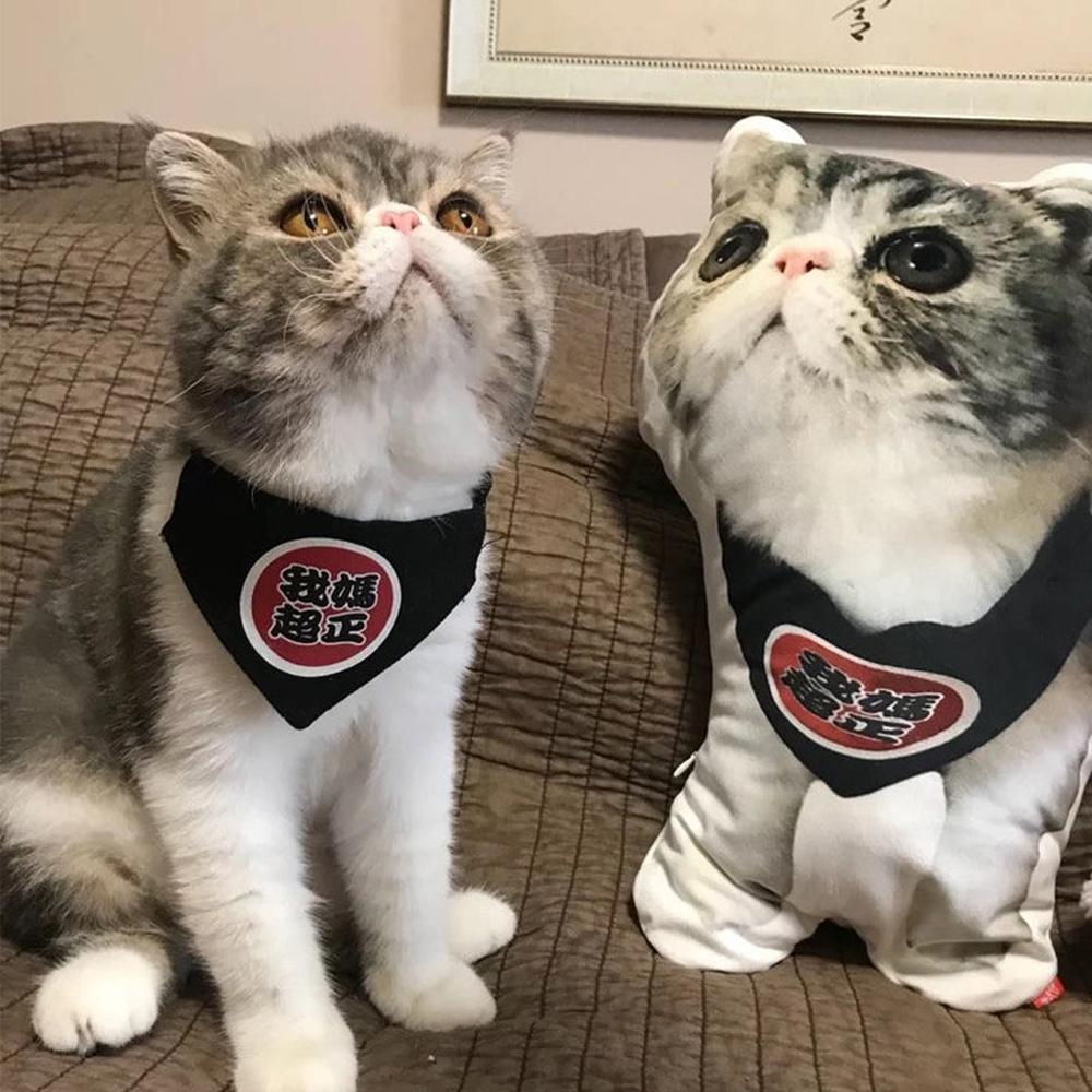 Custom Pet Photo Face Pillow 3D Portrait Pillow-American Shorthair - MyFaceBoxerUK