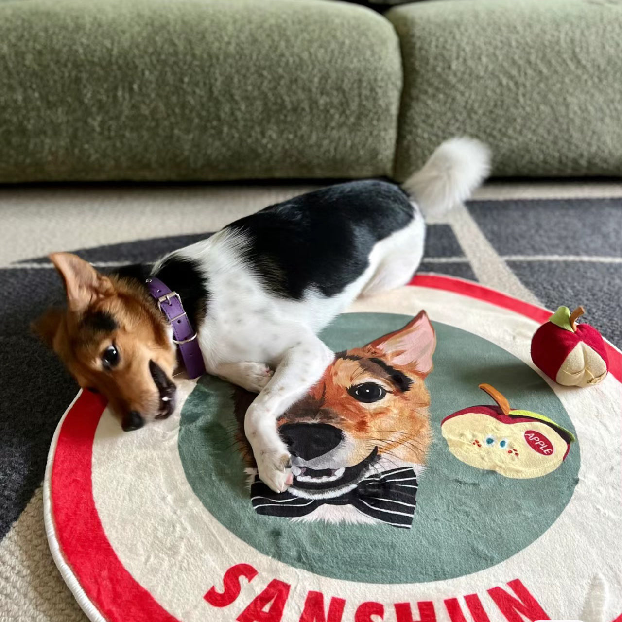 Custom Pet Photo Doormat Personalized Floor Mat Gift for Pet Lover - Red & Green - MyFaceBoxer