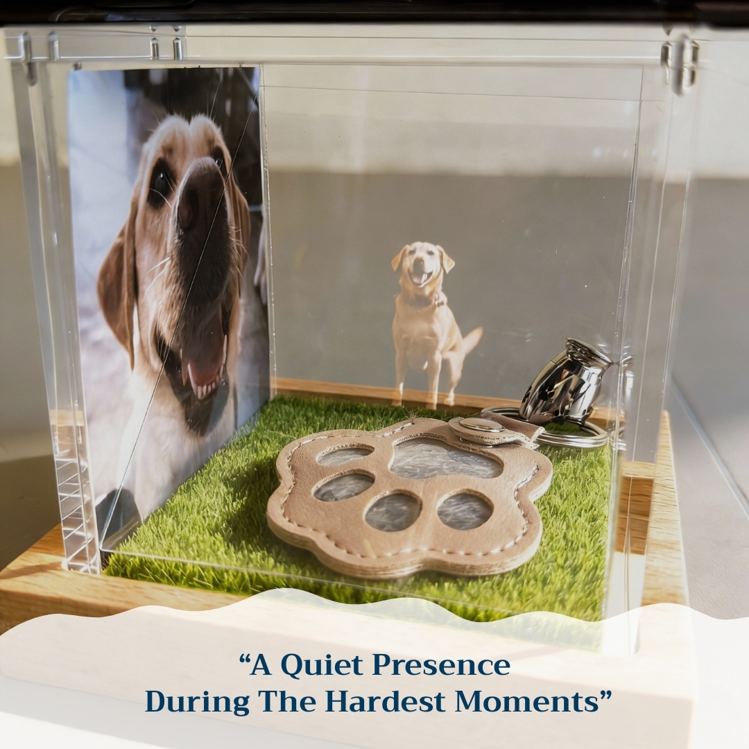 Interactive Pet Memorial Box With Hologram Projection