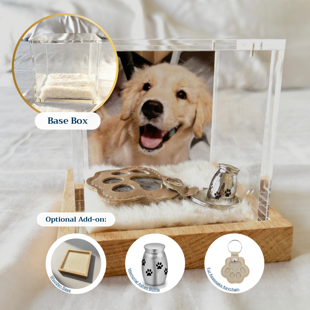 Interactive Pet Memorial Box With Hologram Projection