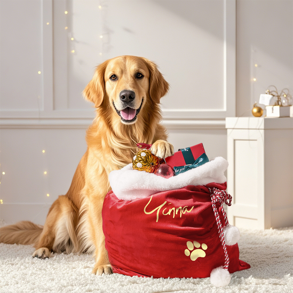 Christmas Santa Sack, Personalised Velvet Santa Sack, Christmas Gift Bag for Kids and Adults and pet, Christmas Gift Bag, Xmas. - MyFaceBoxer