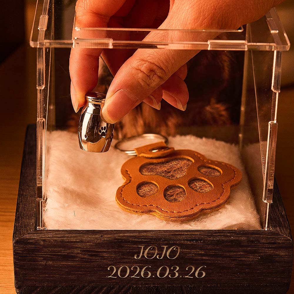 Interactive Pet Memorial Box With Hologram Projection