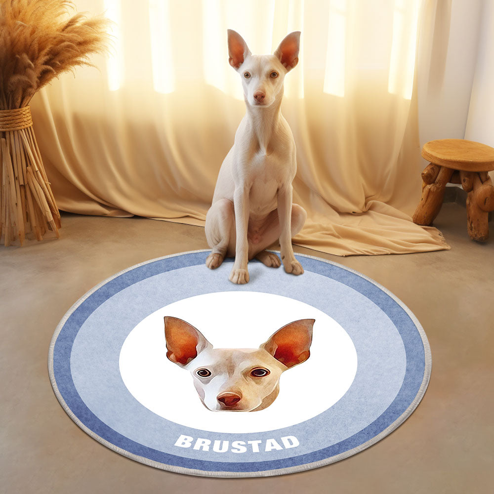 Custom Pet Photo Doormat Personalized Floor Mat Gift for Pet Lover - Blue - MyFaceBoxer