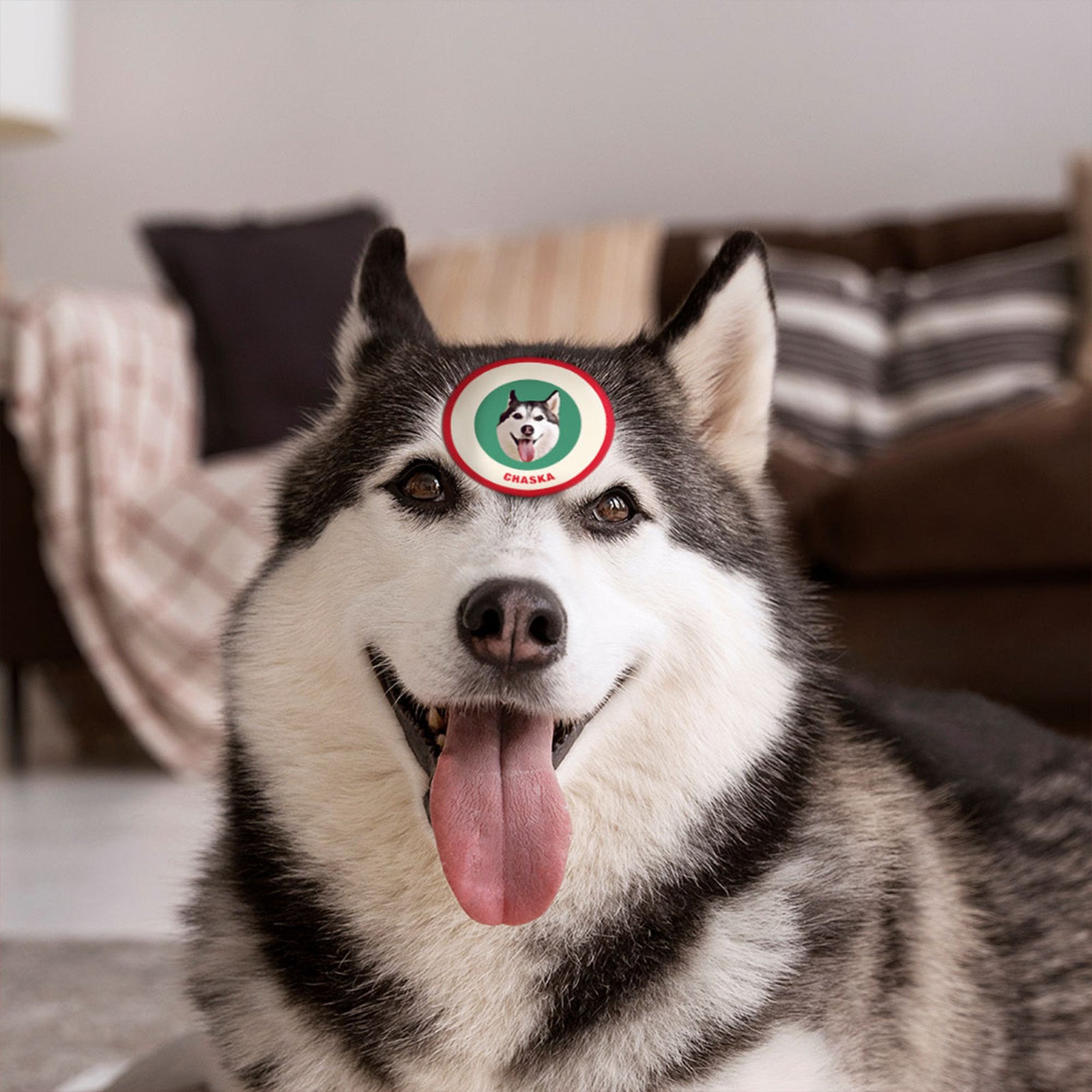 Custom Pet Face Sticker Personalized Face Photo Stickers for Pet Lover - Red & Green - MyFaceBoxer