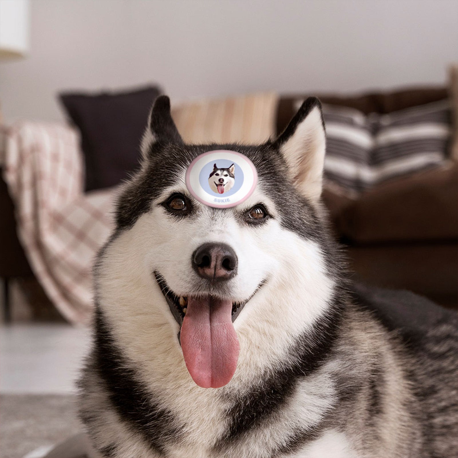 Custom Pet Face Sticker Personalized Face Photo Stickers for Pet Lover - Pink & Blue - MyFaceBoxer