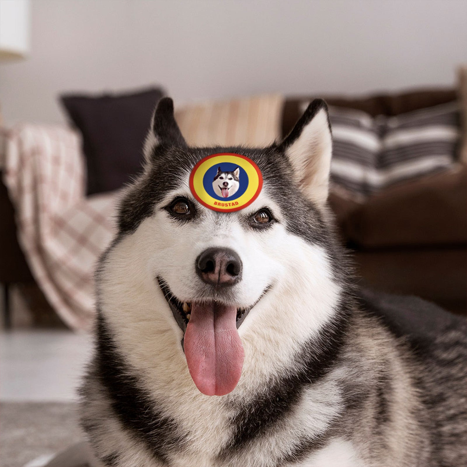 Custom Pet Face Sticker Personalized Face Photo Stickers for Pet Lover - Yellow & Blue - MyFaceBoxer