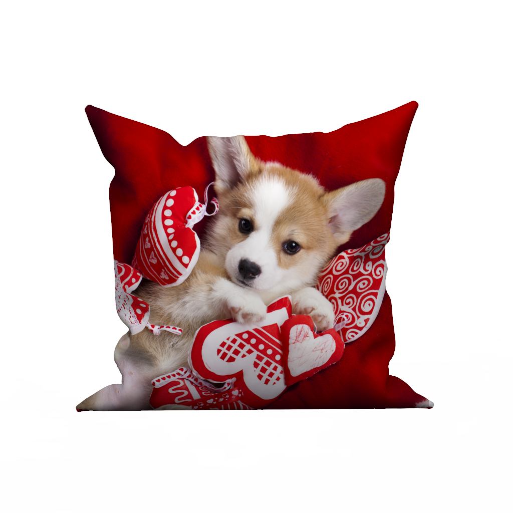 Custom Photo Throw Pillow Case - lovely pet dog - MyFaceBoxer
