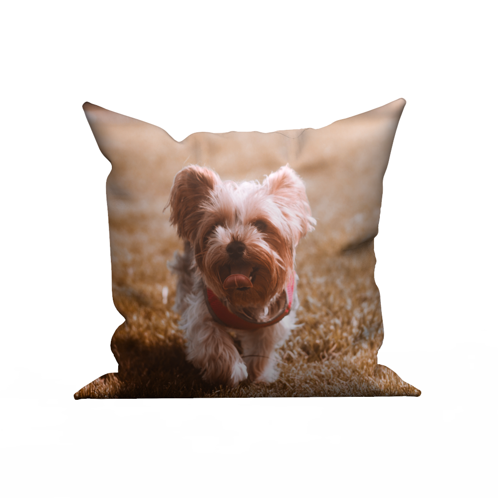 Custom Photo Throw Pillow Case - My pet - MyFaceBoxer