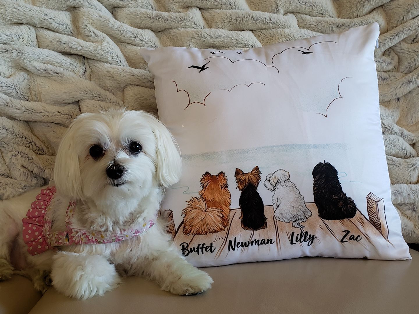 Personalized Dog Zippered Pillow Case 16"X16"(Print On Both Sides) - MyFaceBoxerAU