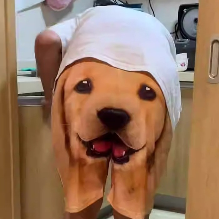 Custom Dog Face Funny Beach Trunks Men's Boxer Briefs