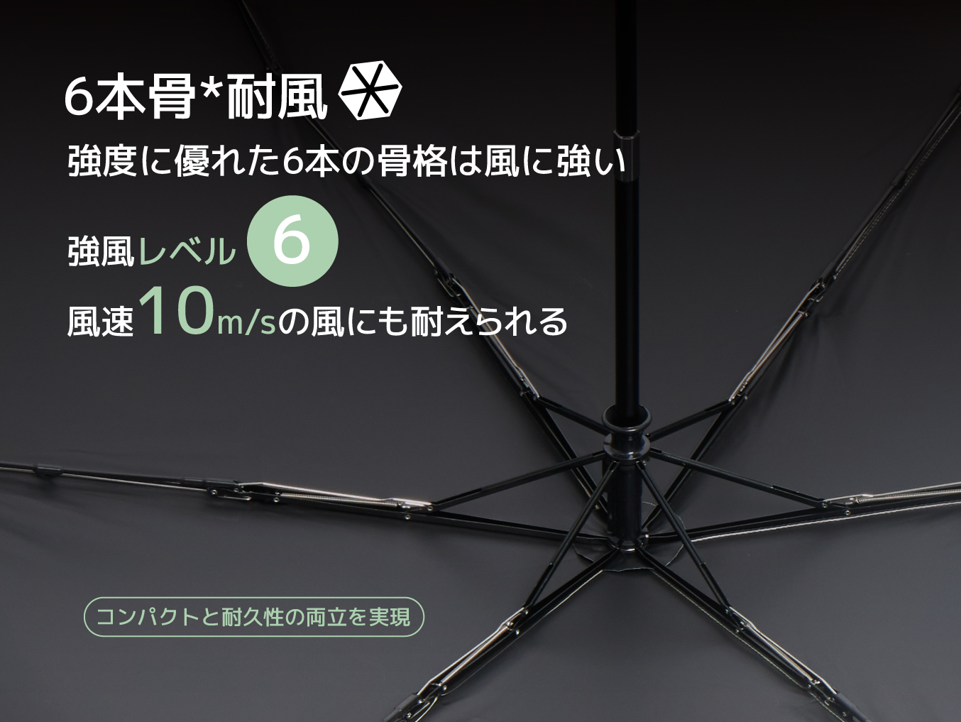 {"default":"日傘 晴雨 兼用,形状記憶,海辺での日よけ,強風対応"}