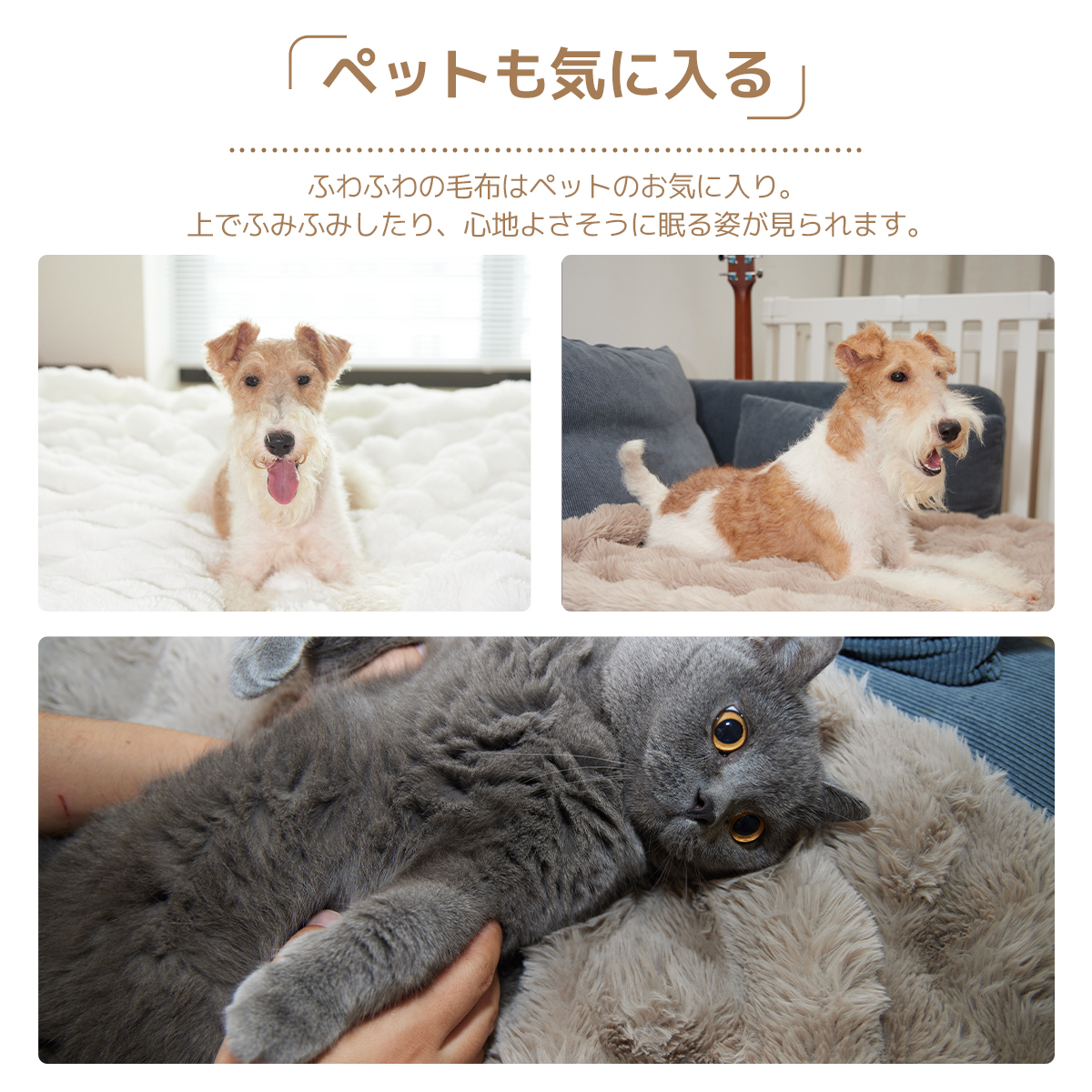 ペット 毛布,ペット 用 毛布,暖かい 毛布