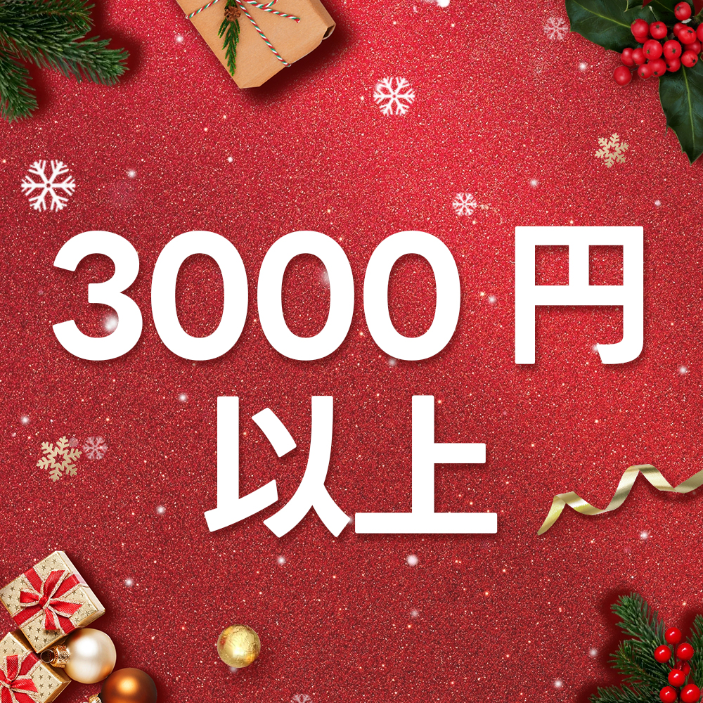 3000円以上