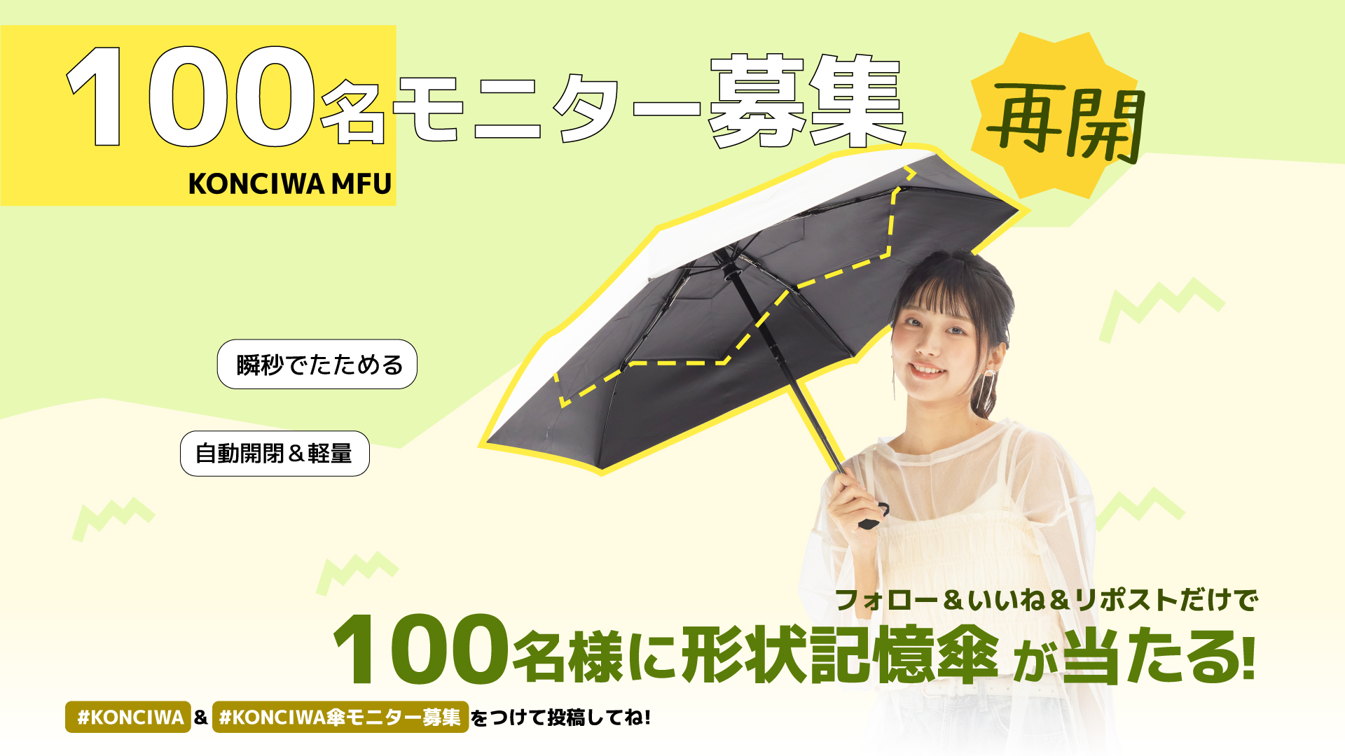 レビューキャンペーン,共同企画