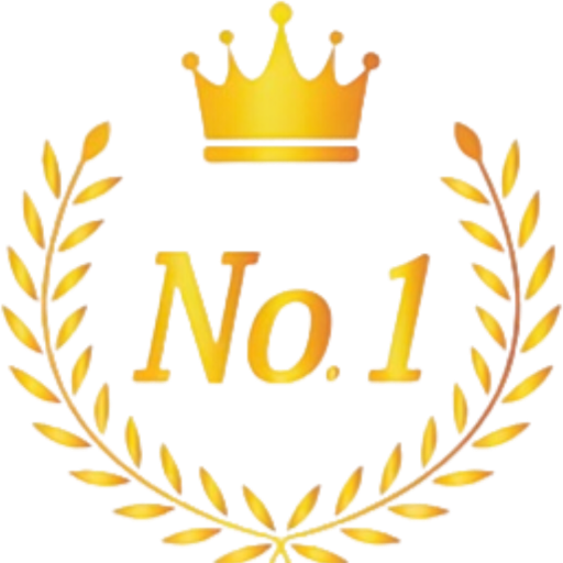 Logo-NO1