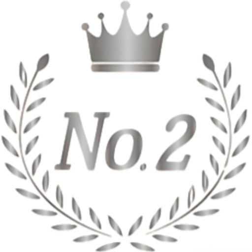 Logo-NO2