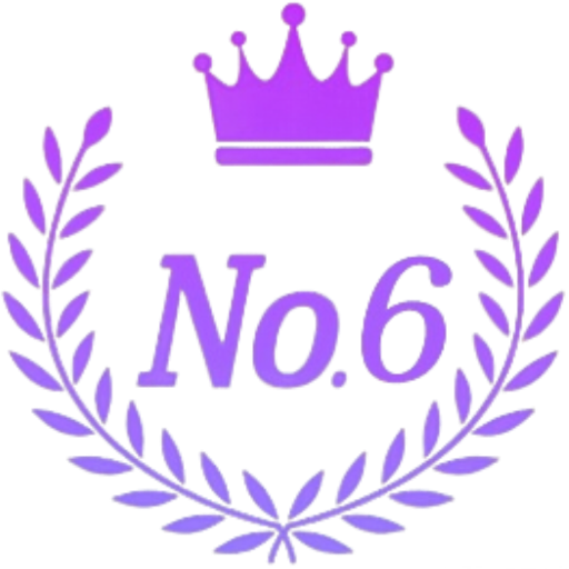Logo-NO6
